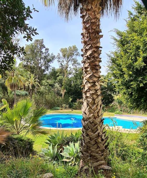Soleado Apartamento Golf Y A 900 M De La Playa Benalmádena Esterno foto